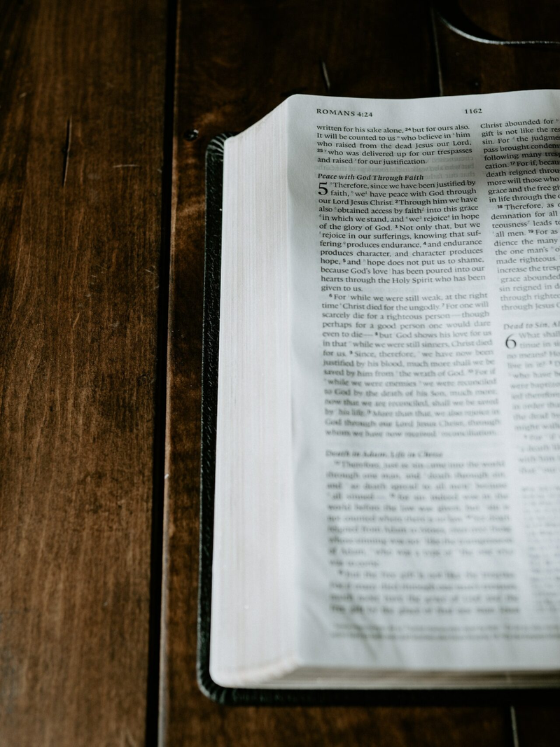 daniel-day-media-bzkf1nk-vpq-unsplash