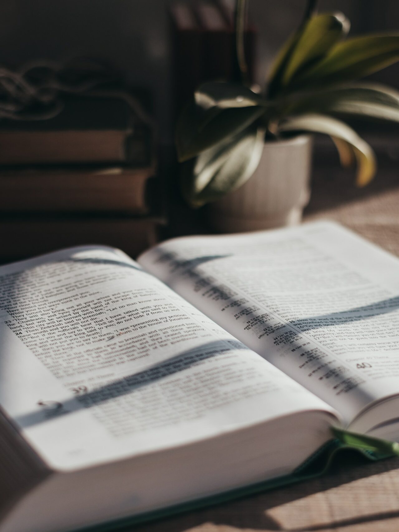 sixteen-miles-out-d40gdcd_-he-unsplash