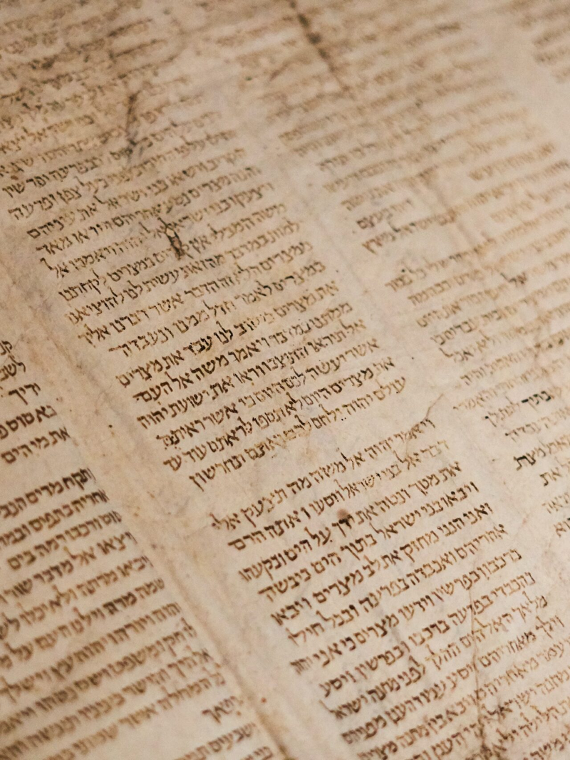 tanner-mardis-xuxghzhibn4-unsplash-1-2