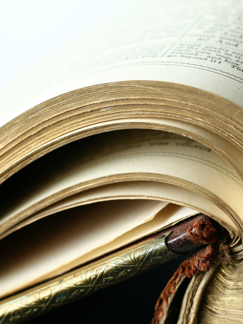 pierre-bamin-poqnzzioqos-unsplash