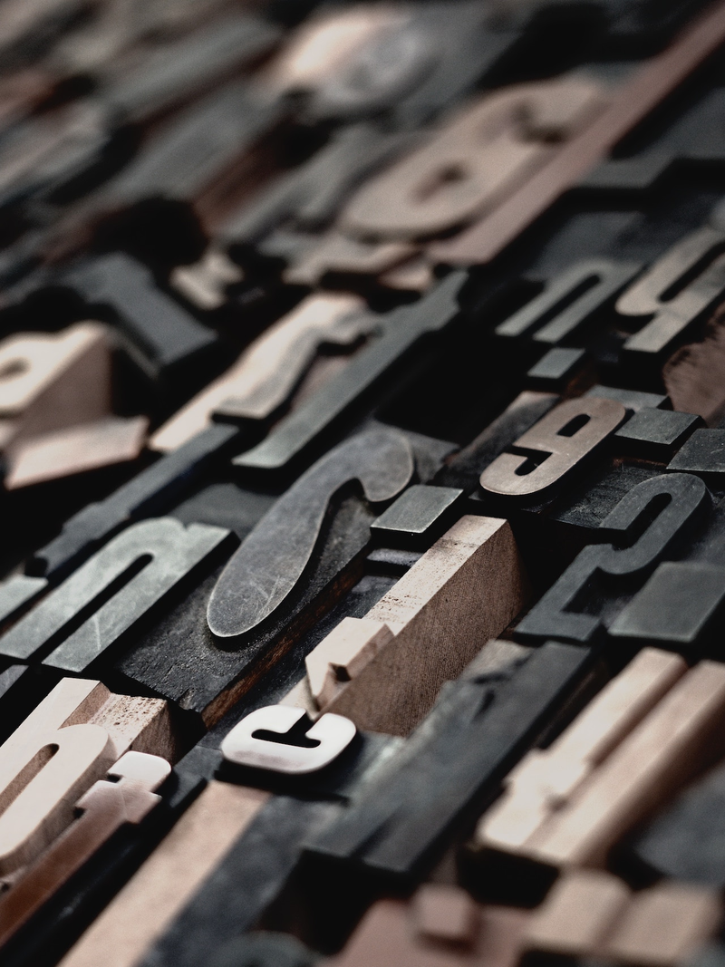 raphael-schaller-gkincd2eniy-unsplash-7