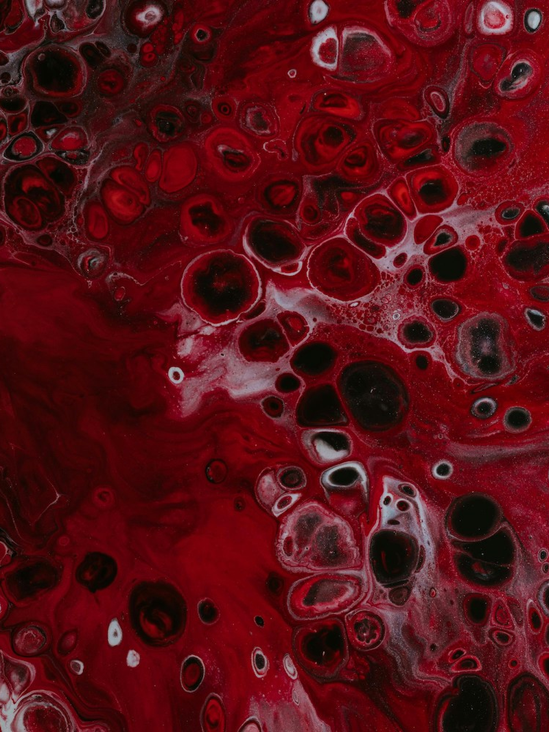 pawel-czerwinski-wzhda7cd7ps-unsplash