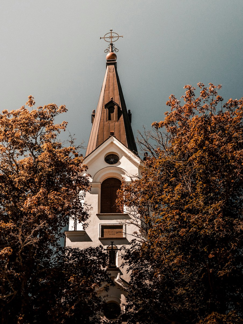 frederik-falinski-tqutu2dvfeg-unsplash