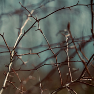 kevin-butz-ona0c3vqoae-unsplash