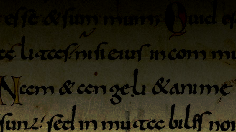 medievalilluminatedmanuscript