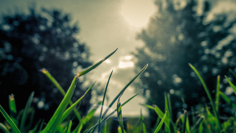 creation-2