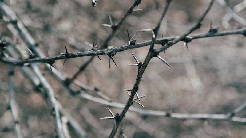 kelly-sikkema-aageorr0iqs-unsplash