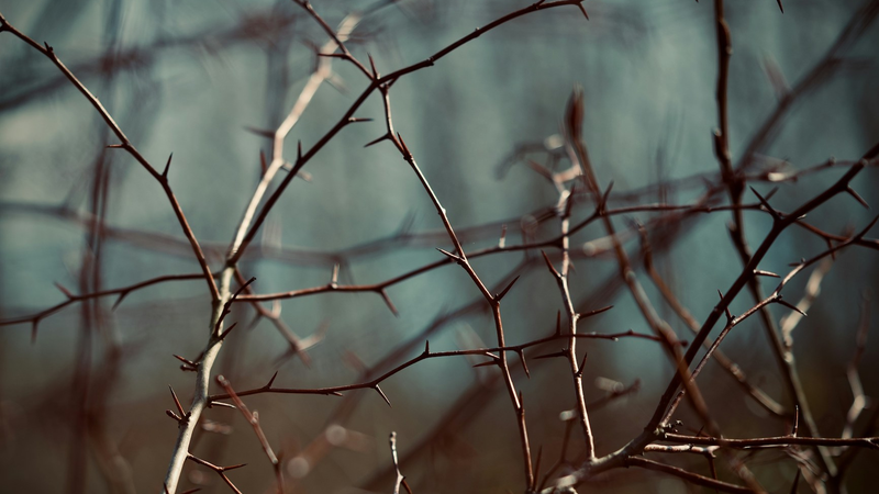 kevin-butz-ona0c3vqoae-unsplash