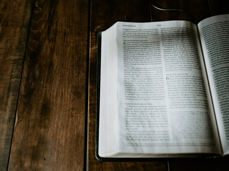 daniel-day-media-bzkf1nk-vpq-unsplash