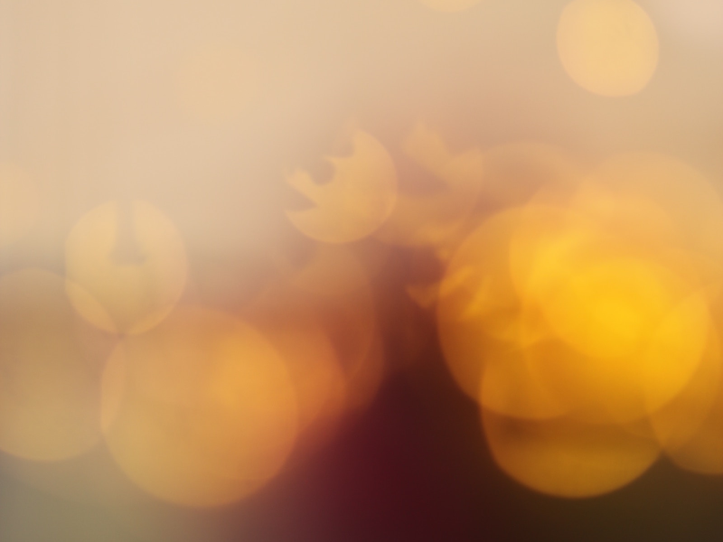 amjd-rdwan-erymmvvsy1y-unsplash-1