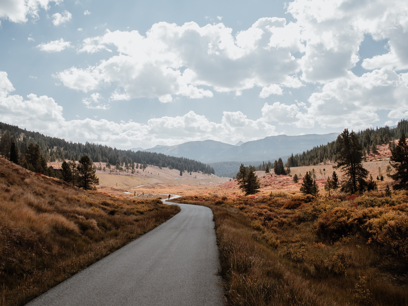 briana-tozour-mrfapsuyy8a-unsplash
