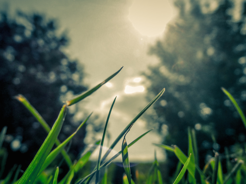 creation-2