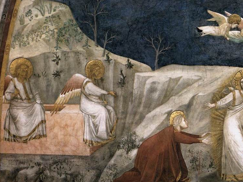 giotto-noli-me-2