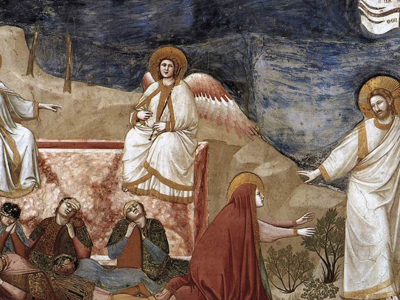 giotto-noli-me-3