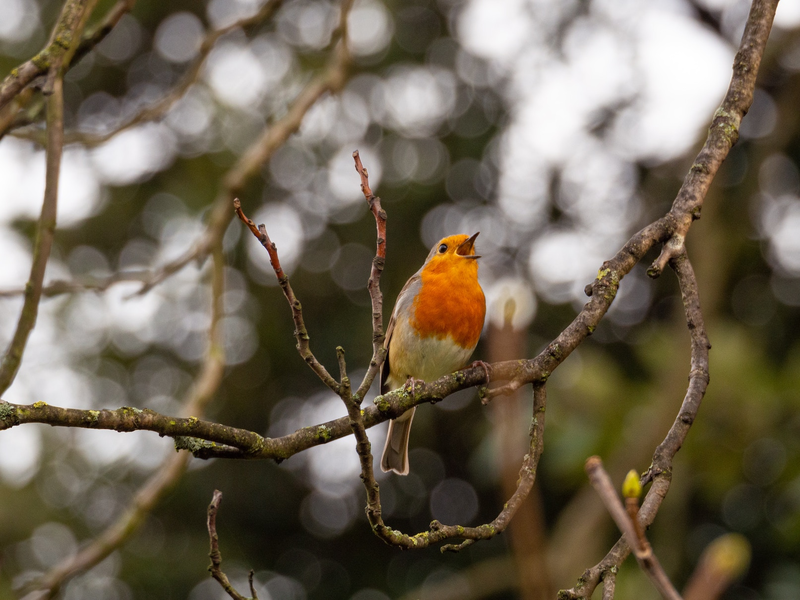 tom-bradley-eoiscqxpmkm-unsplash