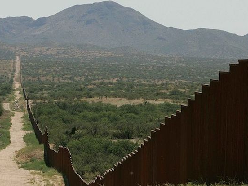 border-fence