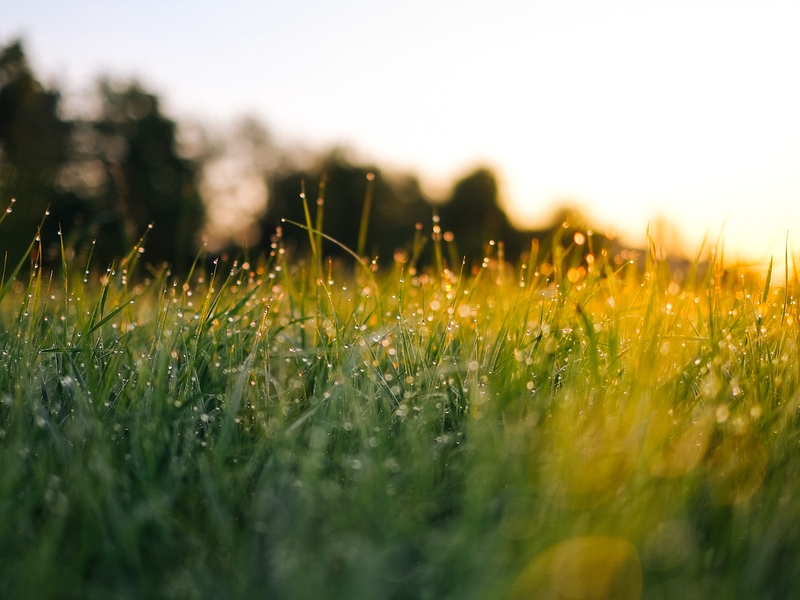 jonas-weckschmied-n_uwpdus7e-unsplash