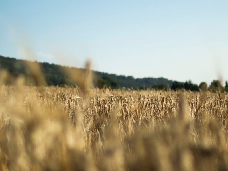simon-caminada-107680-unsplash