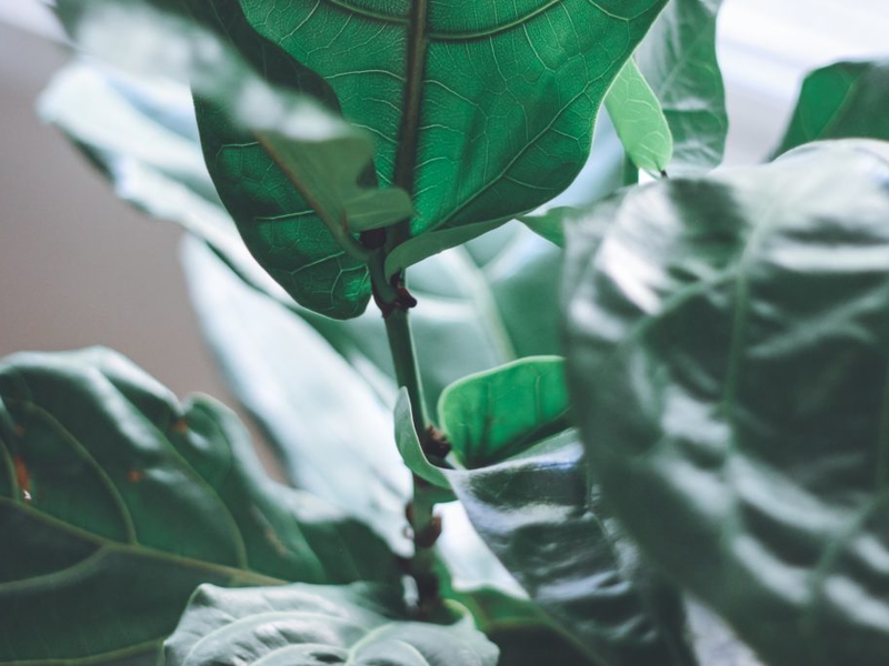 belle-hunt-f7gwmd4ceve-unsplash-3