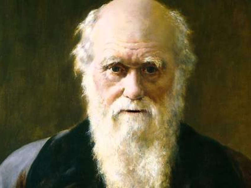 darwin