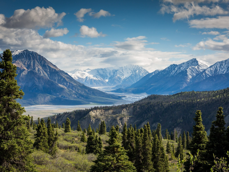 kalen-emsley-bkci_8qcdvq-unsplash-1