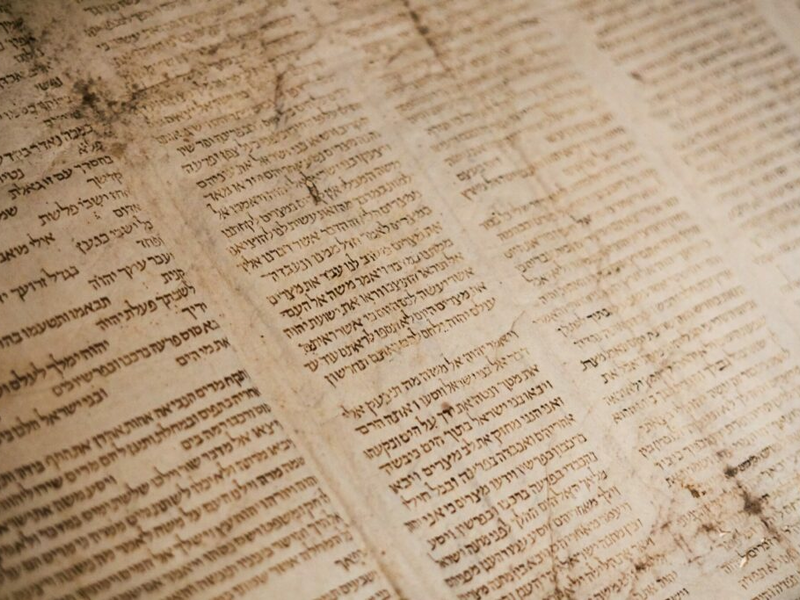 tanner-mardis-xuxghzhibn4-unsplash-1