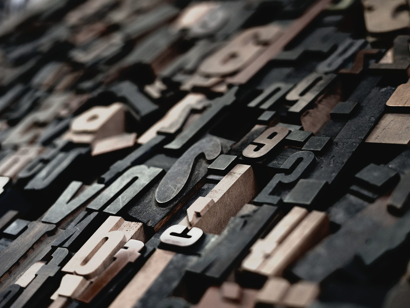raphael-schaller-gkincd2eniy-unsplash-5