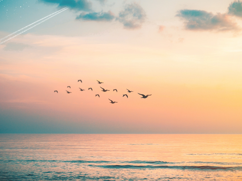 tomas-kirvela-rnunz9fnr8e-unsplash