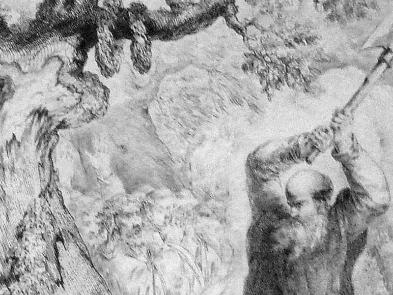 bonifatius_donareiche-e1528229924369-1024x583