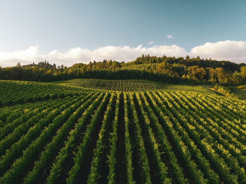 dan-meyers-0agtpoaarte-unsplash