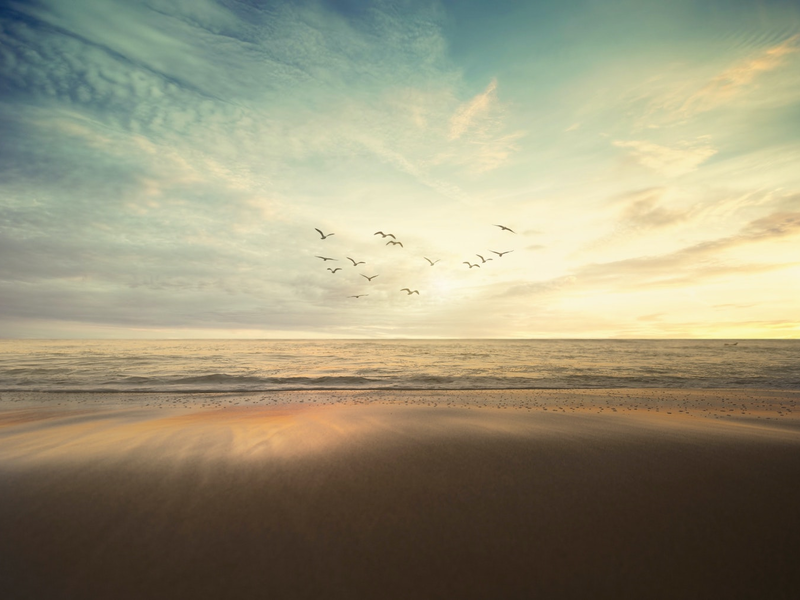 frank-mckenna-cseckew4tm0-unsplash