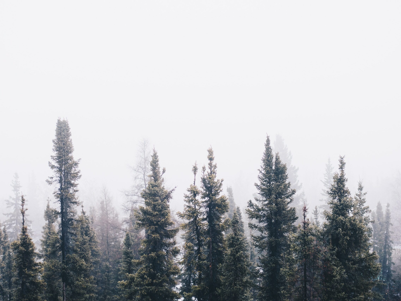 ian-keefe-mdteilh1czy-unsplash