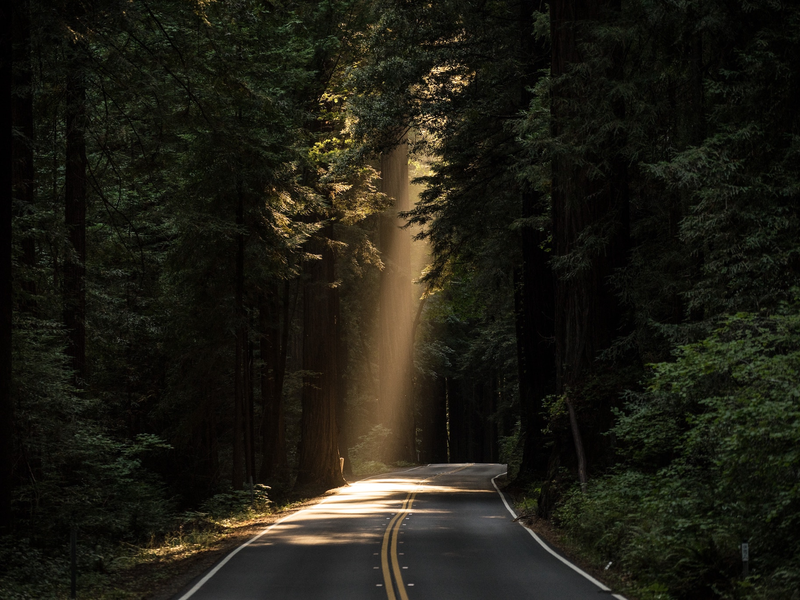 john-towner-3kv48ns4wuu-unsplash
