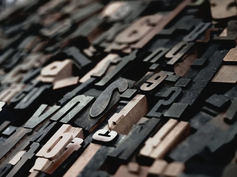 raphael-schaller-gkincd2eniy-unsplash-6