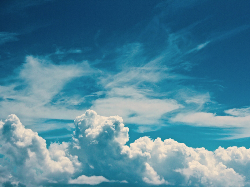 jelleke-vanooteghem-gnxb59lgu1m-unsplash