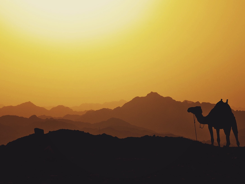 mariam-soliman-ht5xmeulydg-unsplash-2