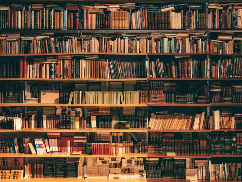 alfons-morales-ylswjsy7stw-unsplash-1