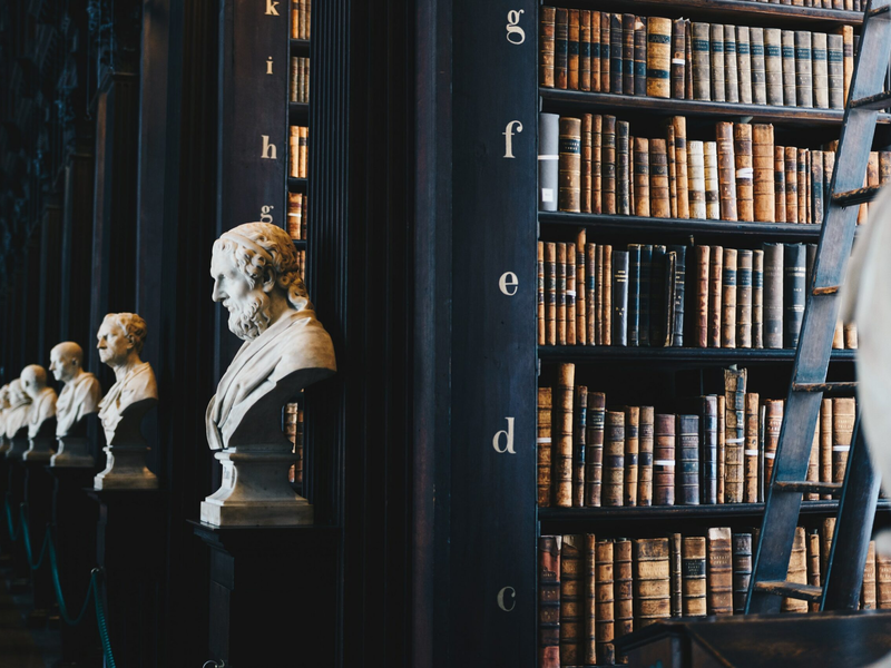 giammarco-zeh-ljawhtg-unsplash