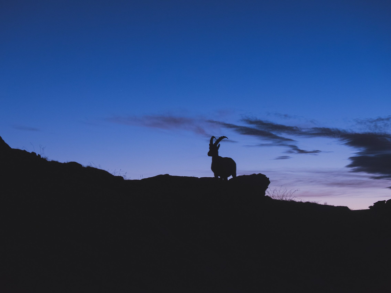 thomas-jarrand-k9gs65i36aq-unsplash