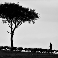 pawan-sharma-vt2efwhbs-e-unsplash