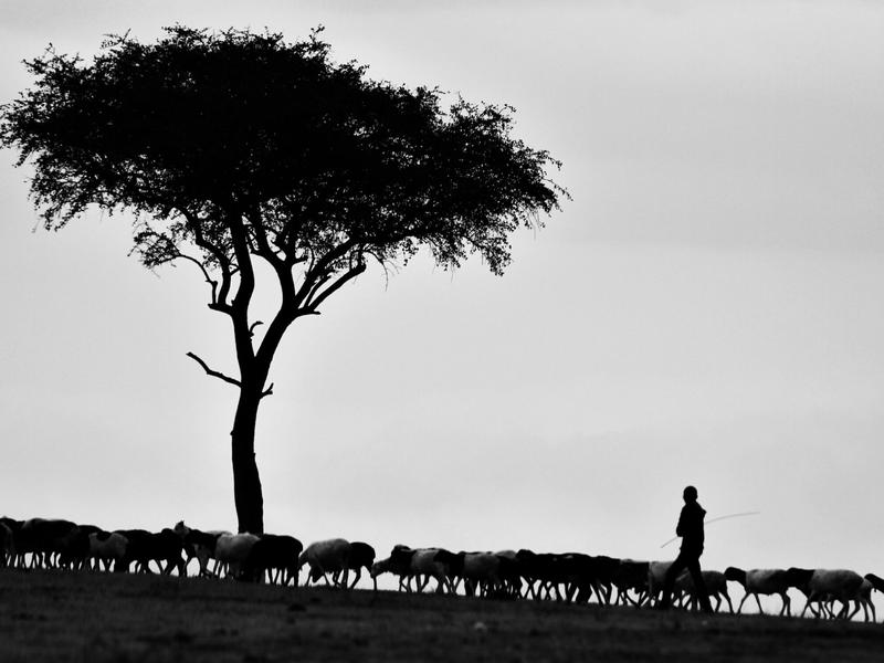 pawan-sharma-vt2efwhbs-e-unsplash
