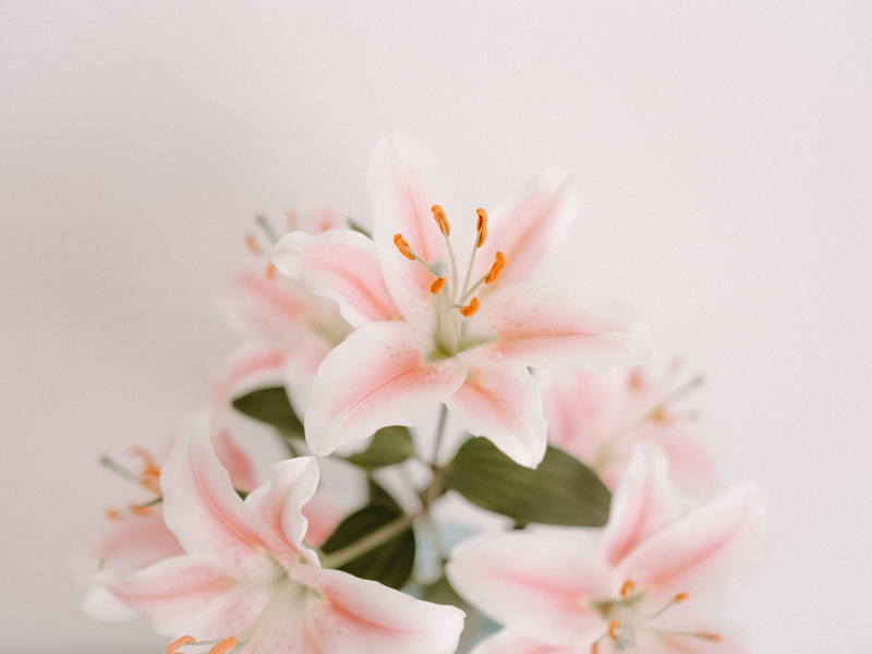 annie-spratt-upxf6to3fea-unsplash