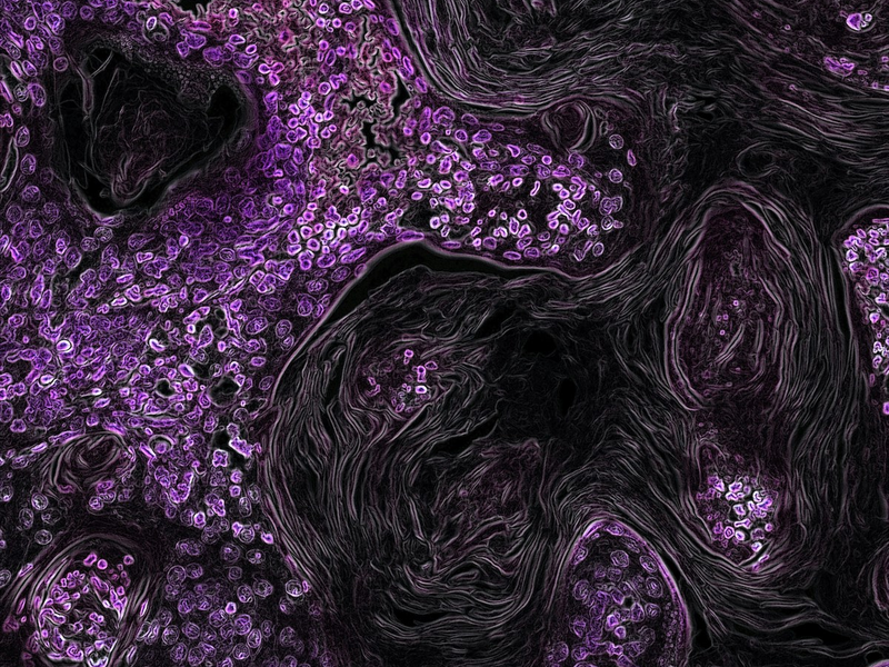 national-cancer-institute-zofbft0m_bu-unsplash