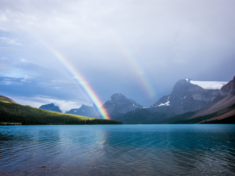 david-brooke-martin-t_zdxjse8im-unsplash