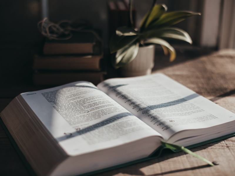 sixteen-miles-out-d40gdcd_-he-unsplash