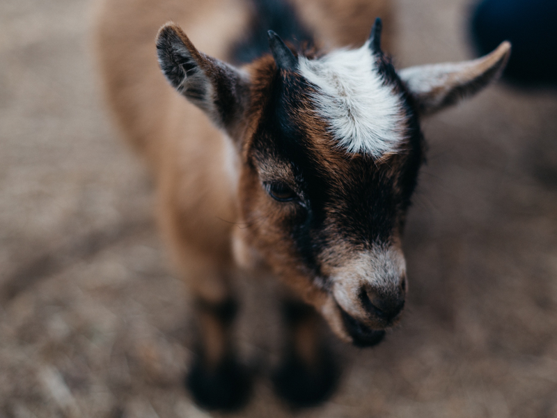 patrick-fore-uwq9fwz4the-unsplash
