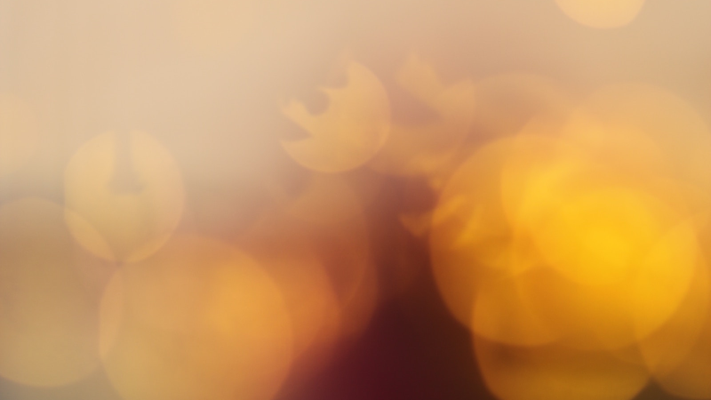 amjd-rdwan-erymmvvsy1y-unsplash-1