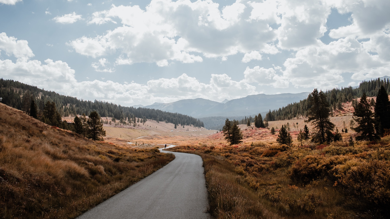 briana-tozour-mrfapsuyy8a-unsplash