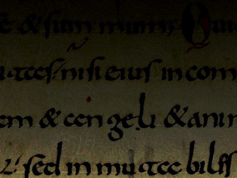 medievalilluminatedmanuscript