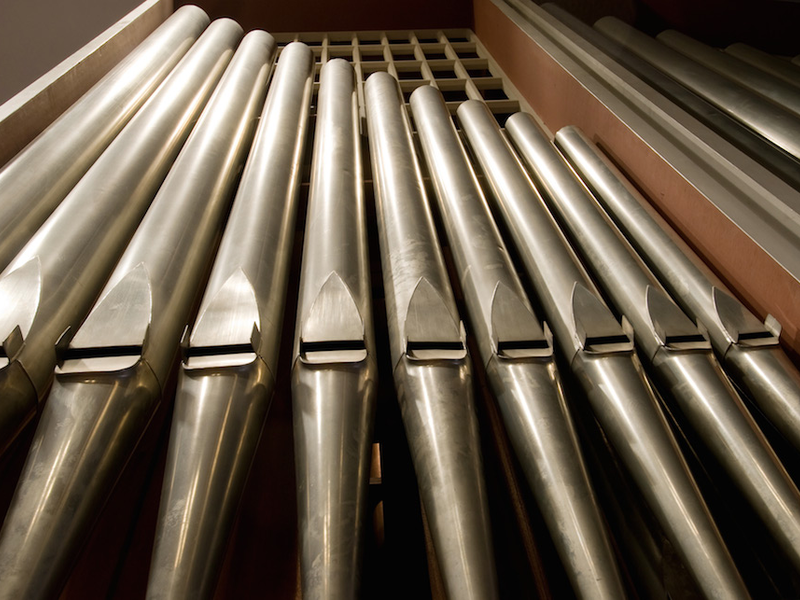 organ-pipes
